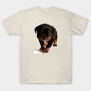 Cute Rottweiler Puppy Lapping Milk T-Shirt